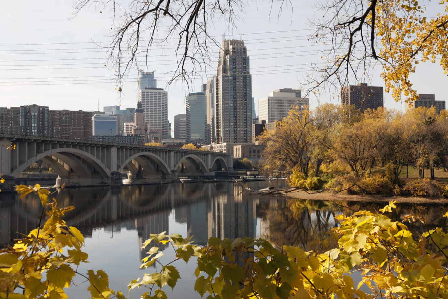 Minneapolis Minnesota skyline with Nicollet Island. Fall city skyline with yellow leaves in the foreground.