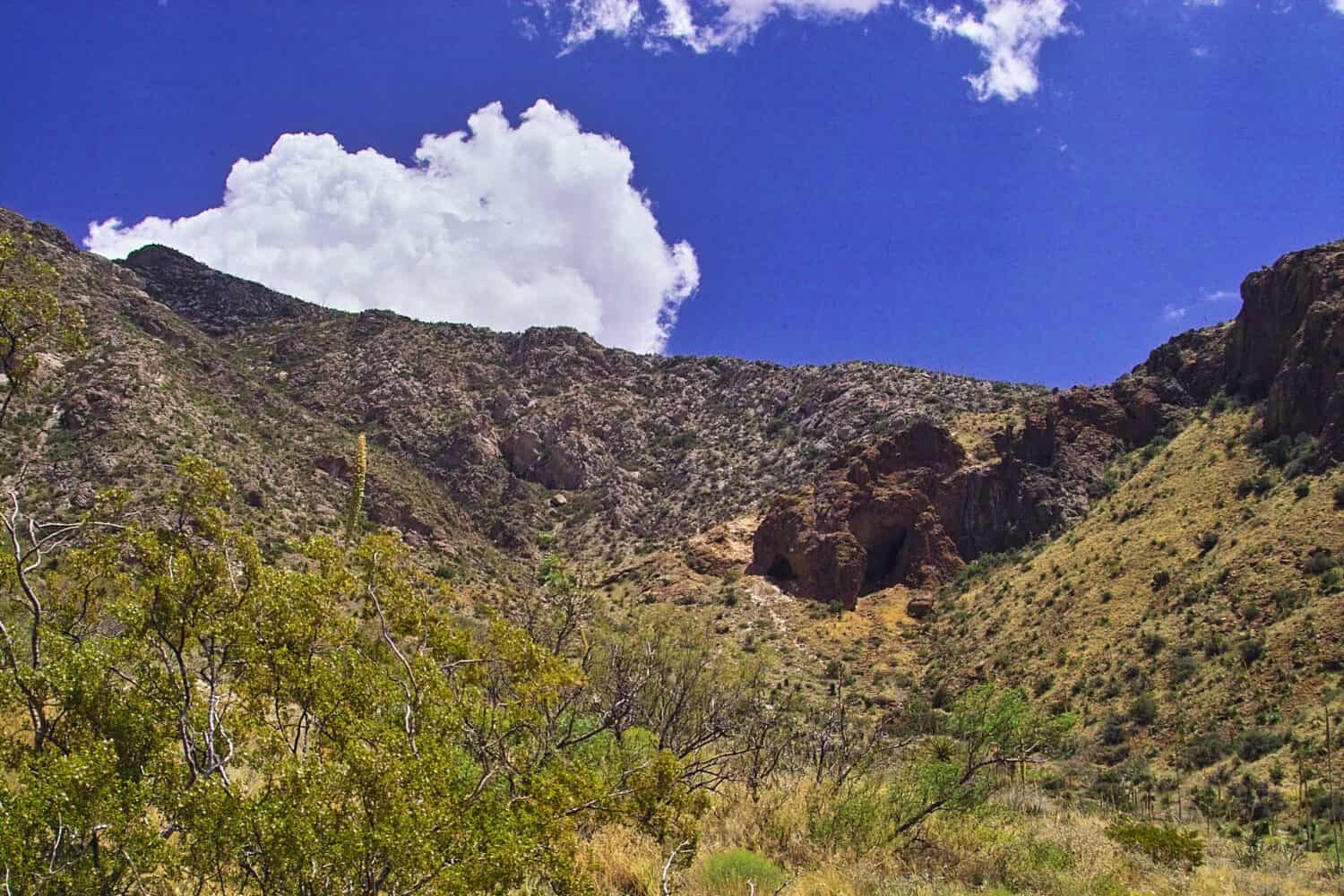 The Top Must-Visit Hiking Trails in Texas - A-Z Animals