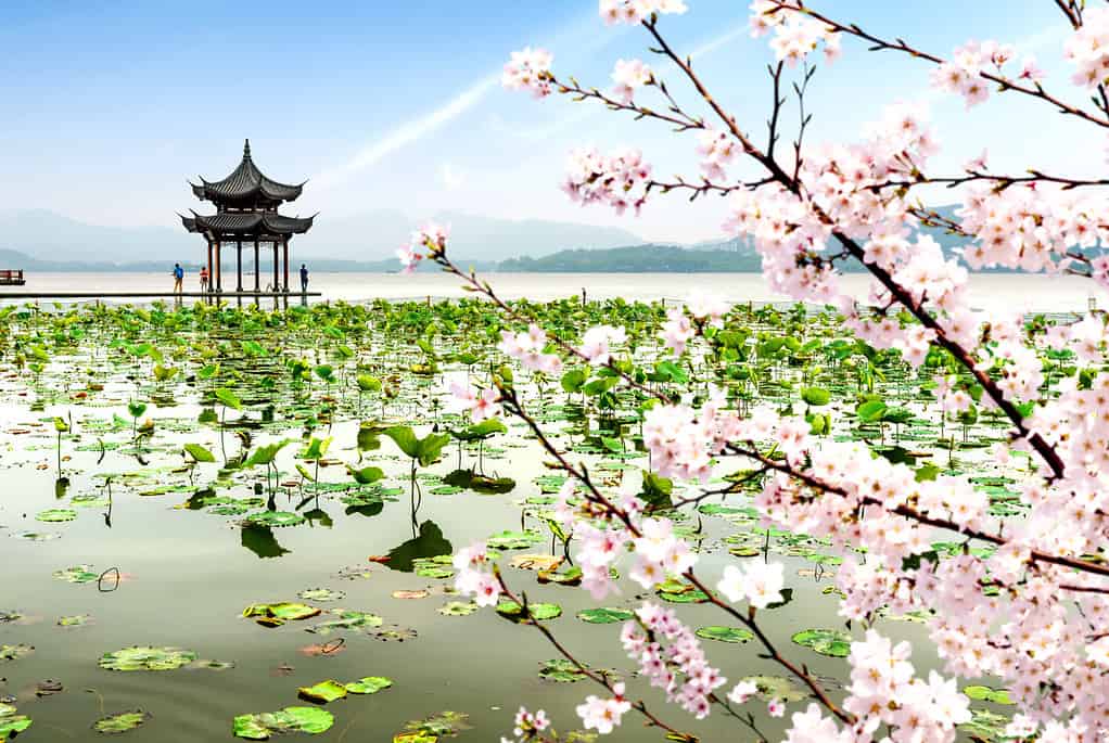 chinese ancient pavilion on the west lake in hangzhou