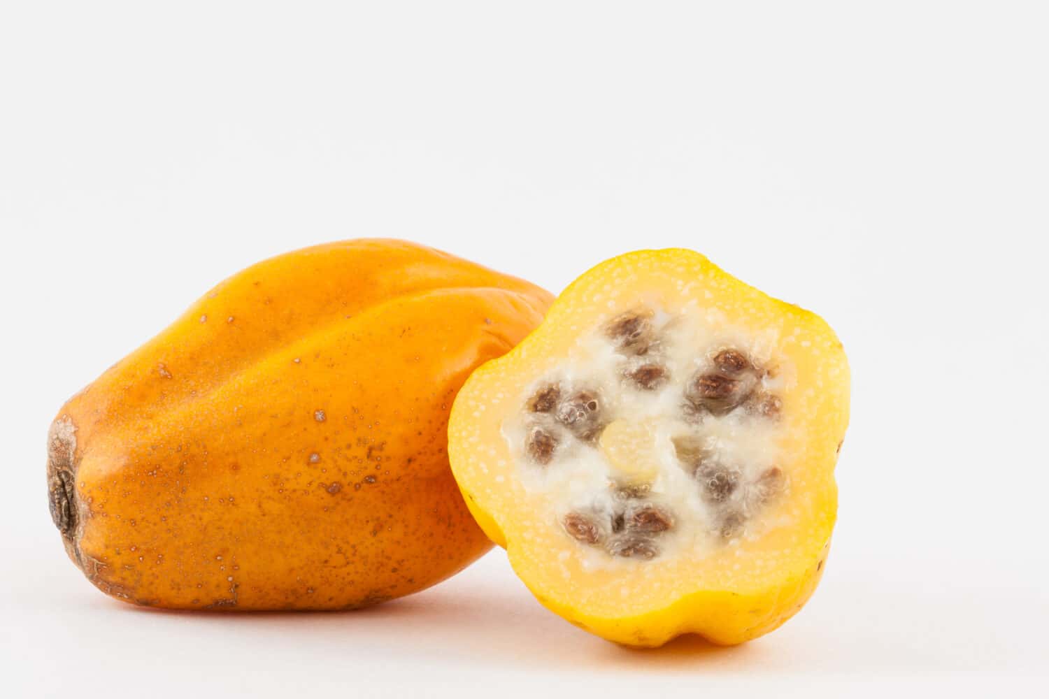 Mountain papaya (Vasconcellea pubescens) isolated in white background