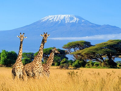 A 10 Incredible Facts About the Mount Kilimanjaro