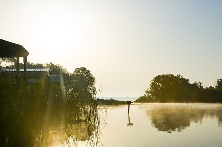 Silhouetted shacks during a beautiful, misty golden sunrise on Lake Panasoffkee in Florida.