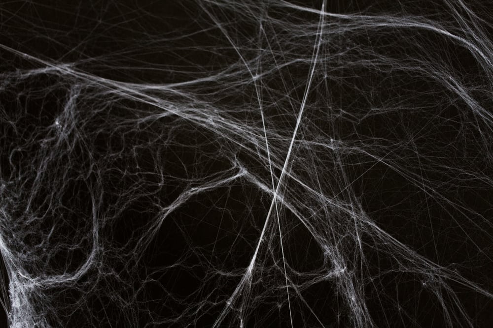 halloween, decoration and horror concept - ecoration of artificial spider web over black background