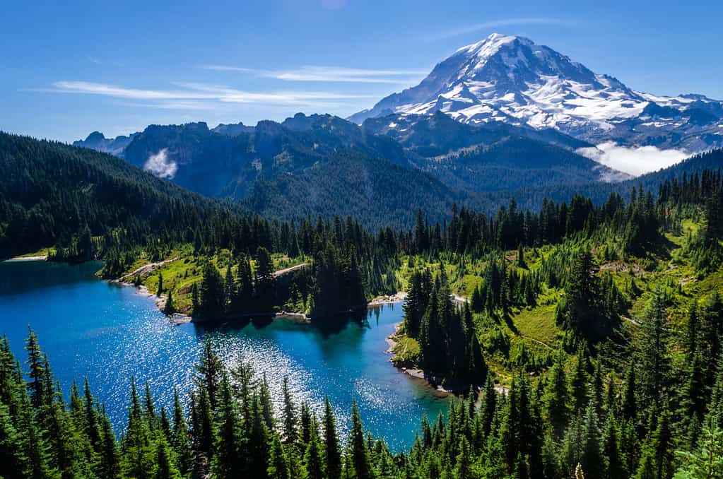 Mount Rainier and Eunice Lake as seen from Tolmie Peak