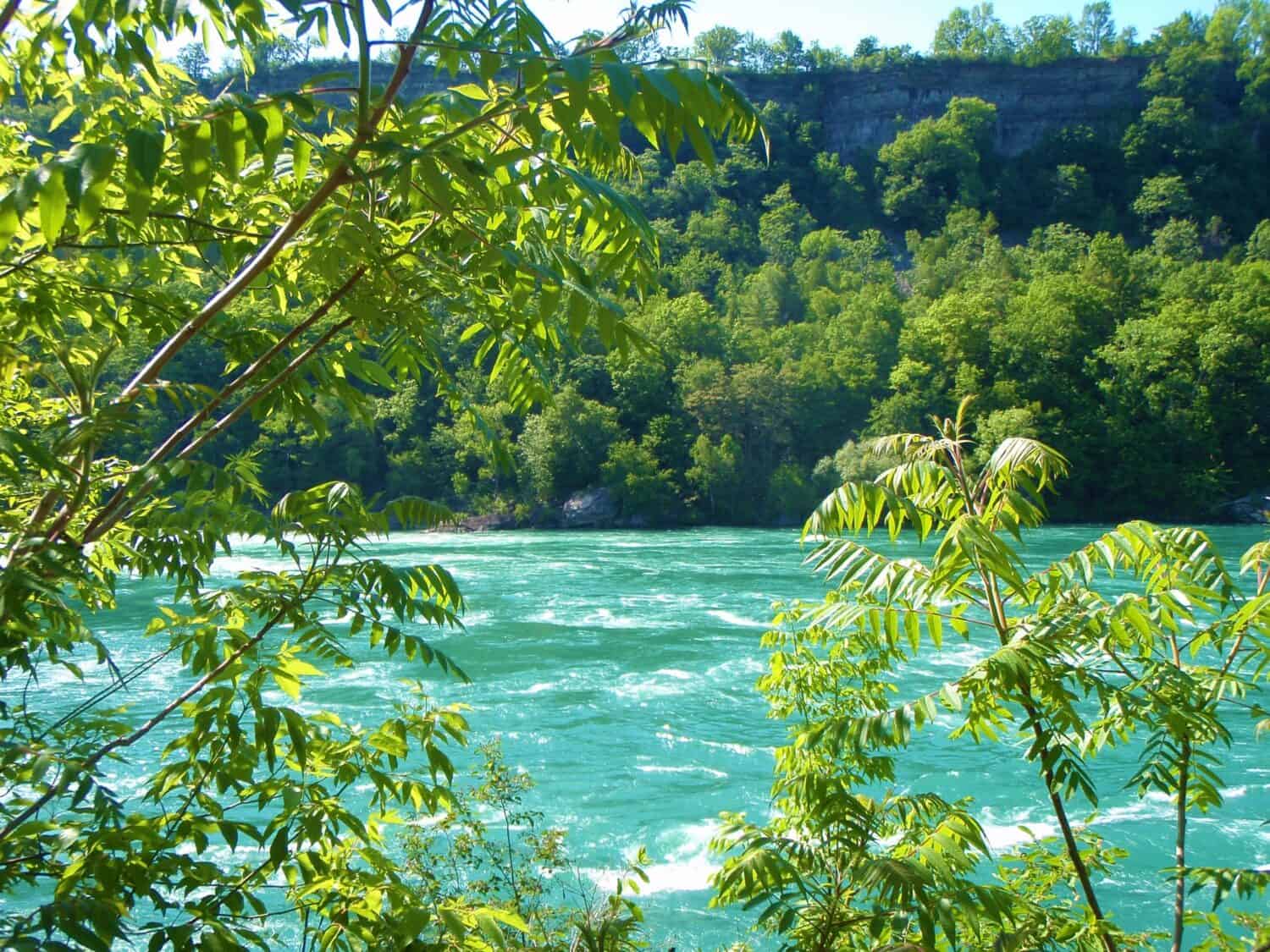 Rapids in Niagara River