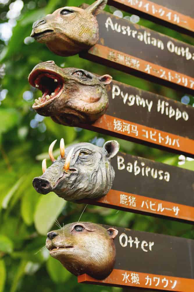 Interesting signs to the enclosures. Pointers with animal's heads. Singapore zoo.