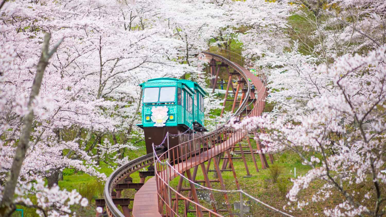 Slope Car Passing Sakura Tunnel, Sendai, Japan