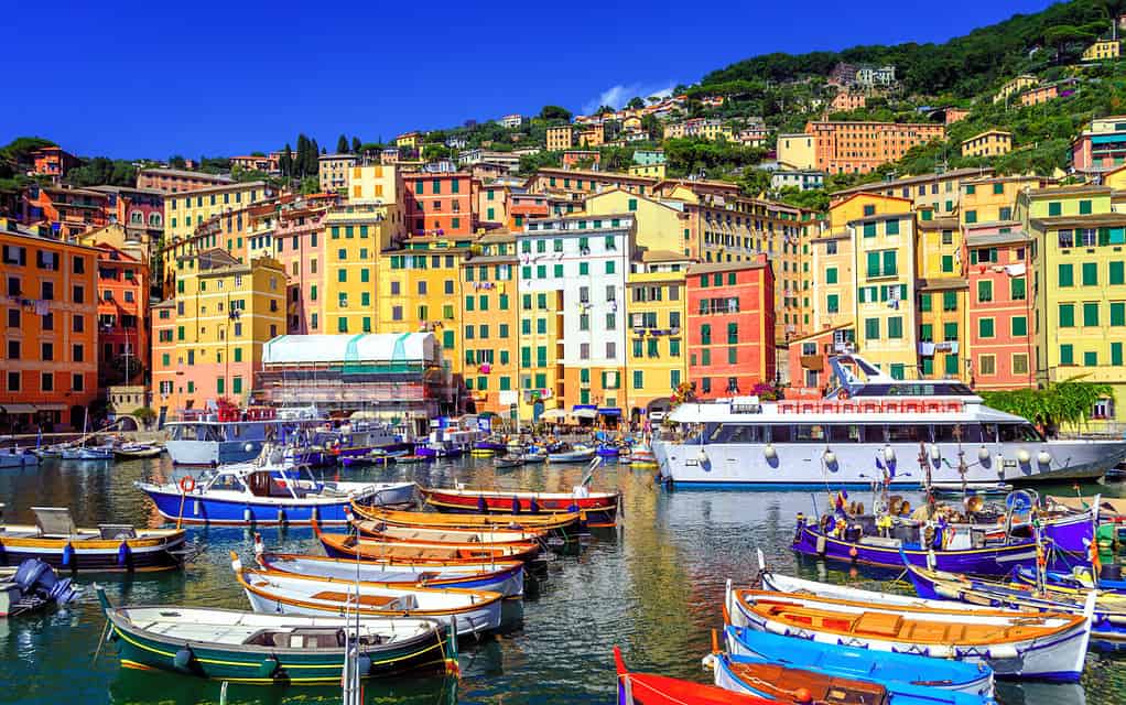 Colorful traditional houses in the Old Town harbour of Camogli, Genoa, Italy