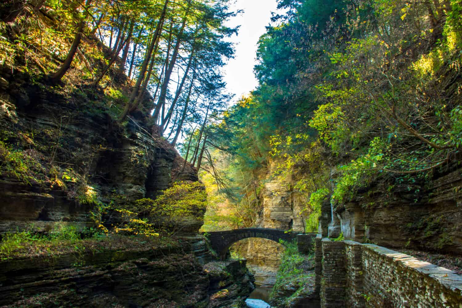 Robert H Treman State Park Fall Foliage & Waterfalls