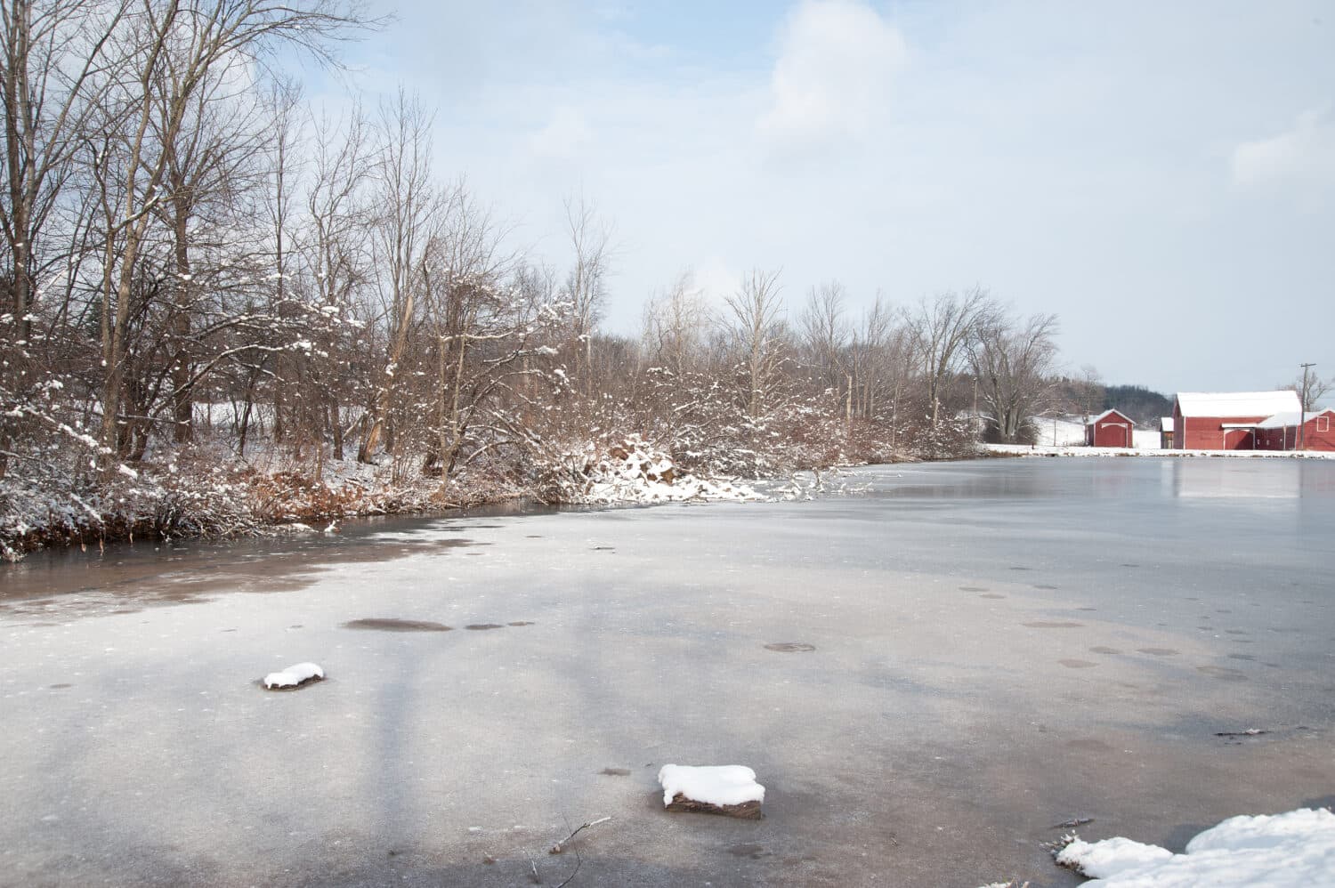 Winter spreads an icy film over a farm pond in Schenectady County, NY