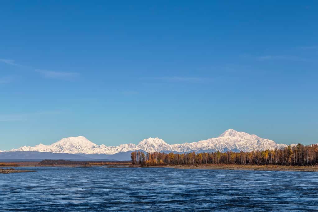 Mt Foraker, Mt Hunter and Denali, Alaska, a wide shot from across  wonder lake