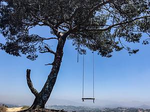 Discover The Secret Swing at Elysian Park – L.A.’s Once Most Magical Attraction Picture