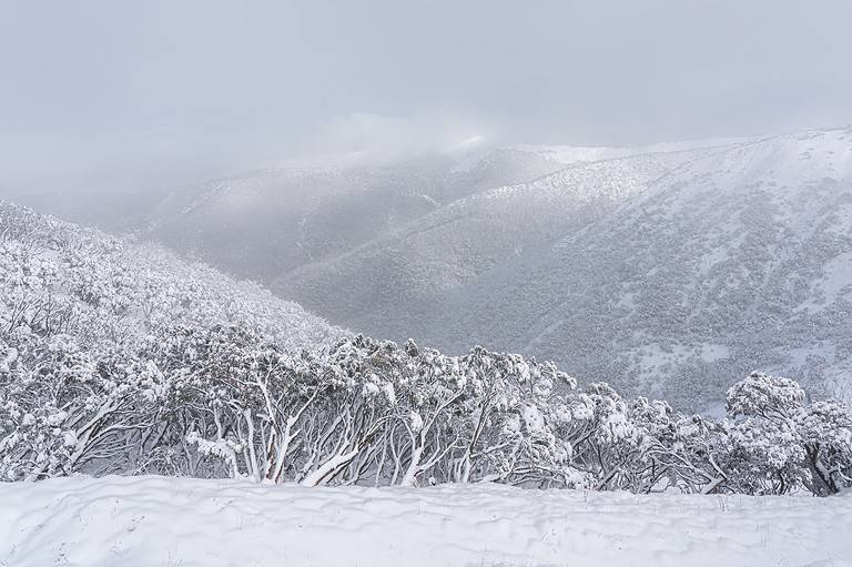 The mesmerizing snowy winter scene on Mount Hotham in Victoria, Australia