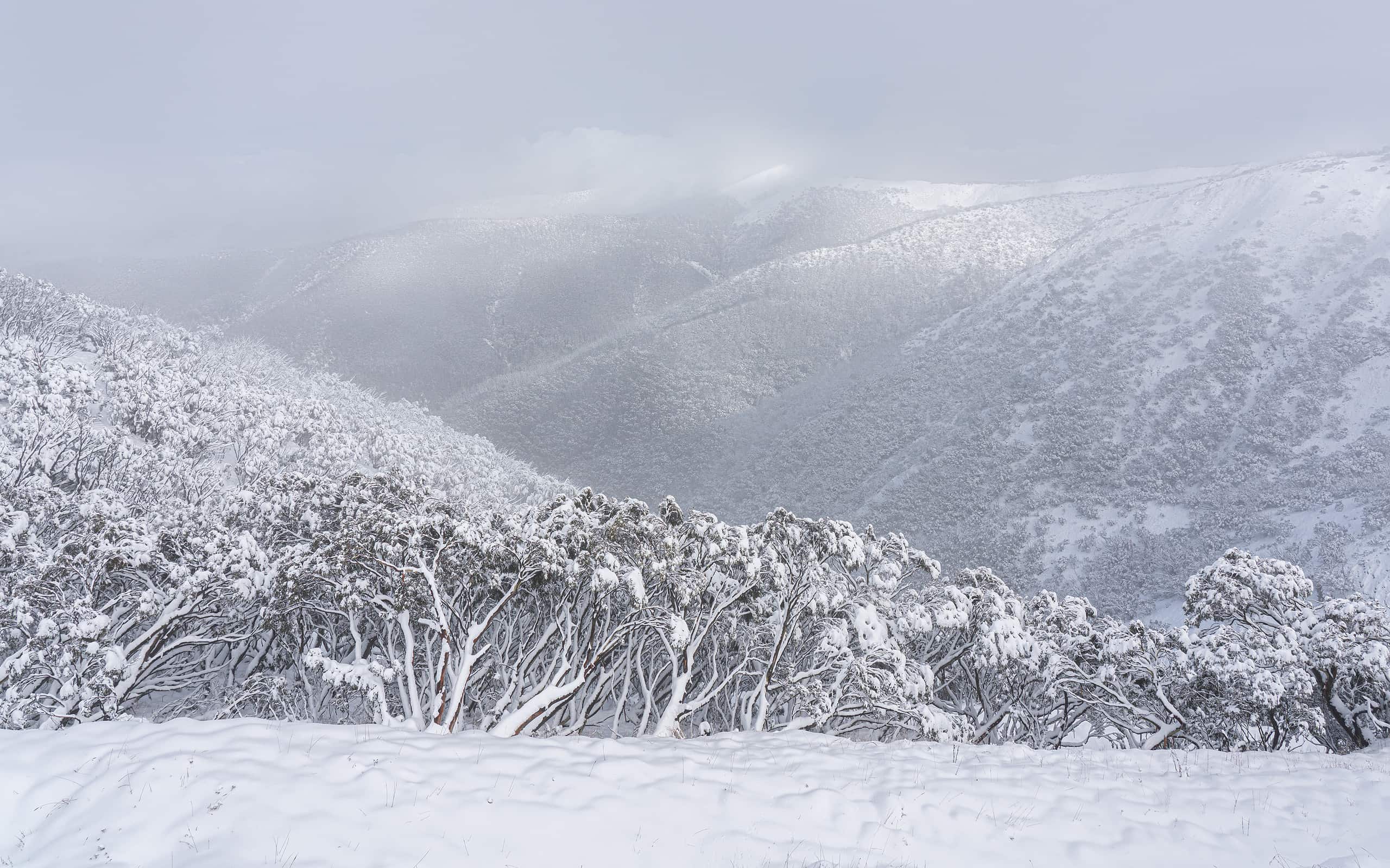 The mesmerizing snowy winter scene on Mount Hotham in Victoria, Australia