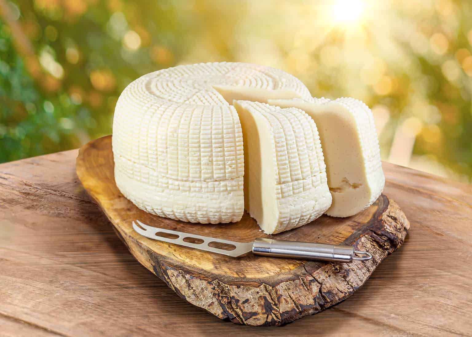 Discover Over 200 Cheeses That Start With B