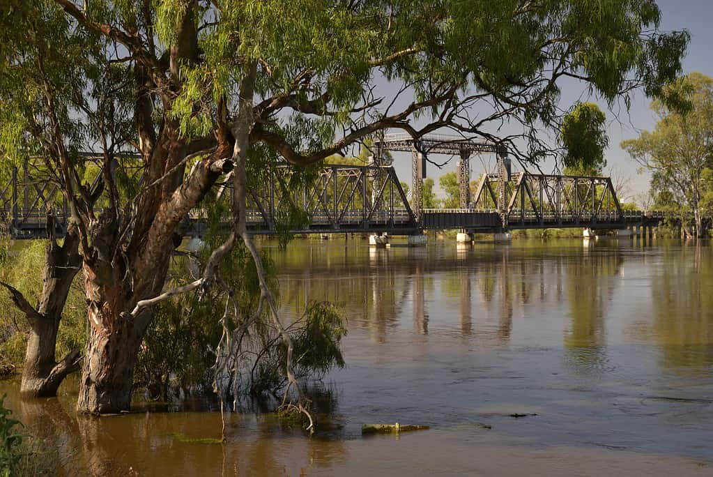 Bridge river crossing at Mildura Victoria Australia, Murray River in full flow 
