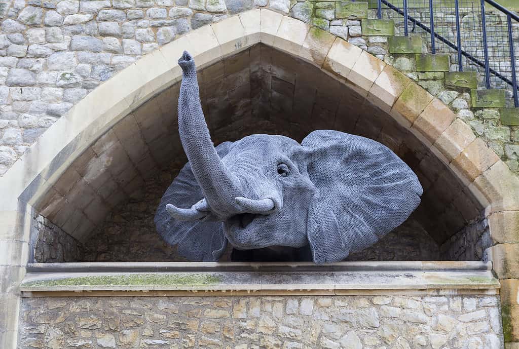 An elephant sculpture at the Tower of London. One of the many animal sculptures on display at the Tower of London to symbolise the animals which once lived there