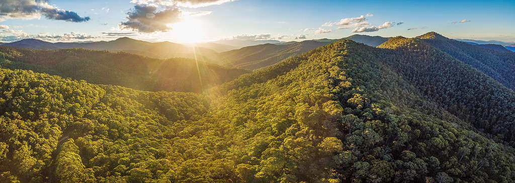 Aerial panorama of beautiful Australian Alps at sunset. Forested hills and rural road