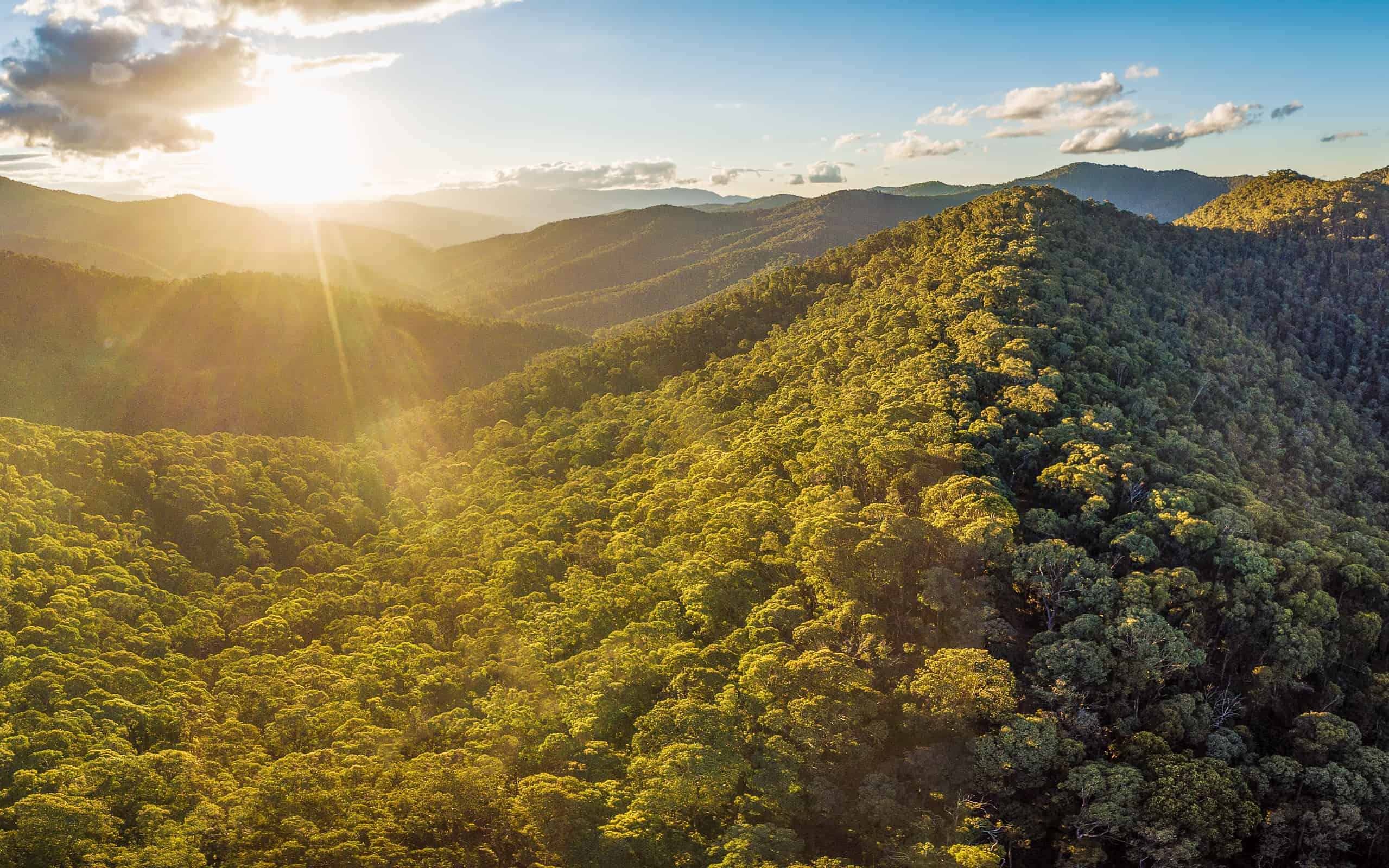 Aerial panorama of beautiful Australian Alps at sunset. Forested hills and rural road