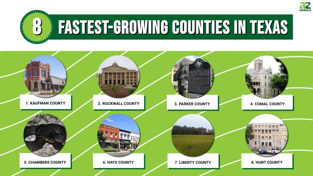 8 Fastest-Growing Counties in Texas