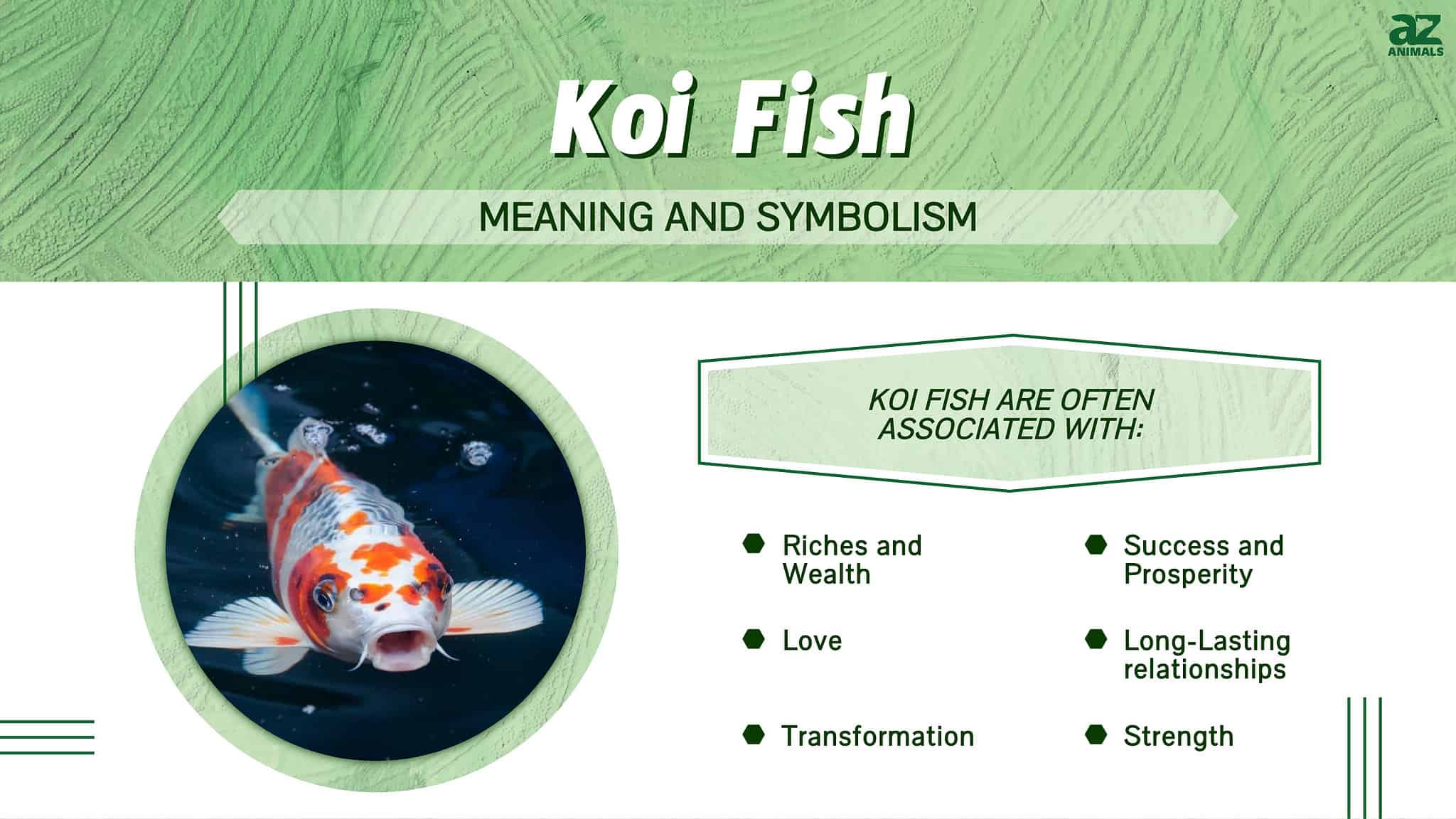 Discover the Powerful Meaning and Symbolism of Koi Fish - A-Z Animals