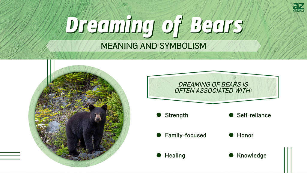 Bear In Dreams - Dream Interpretation and Meaning of Bear in Dreams