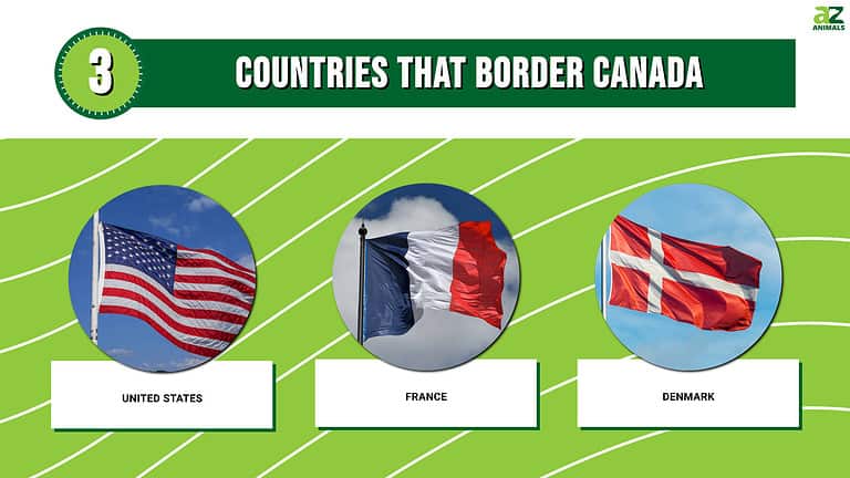 The 3 Countries That Border Canada In 2024 A Z Animals   1923d63422620d961c80a639d61fc675f174a8b2 768x432 