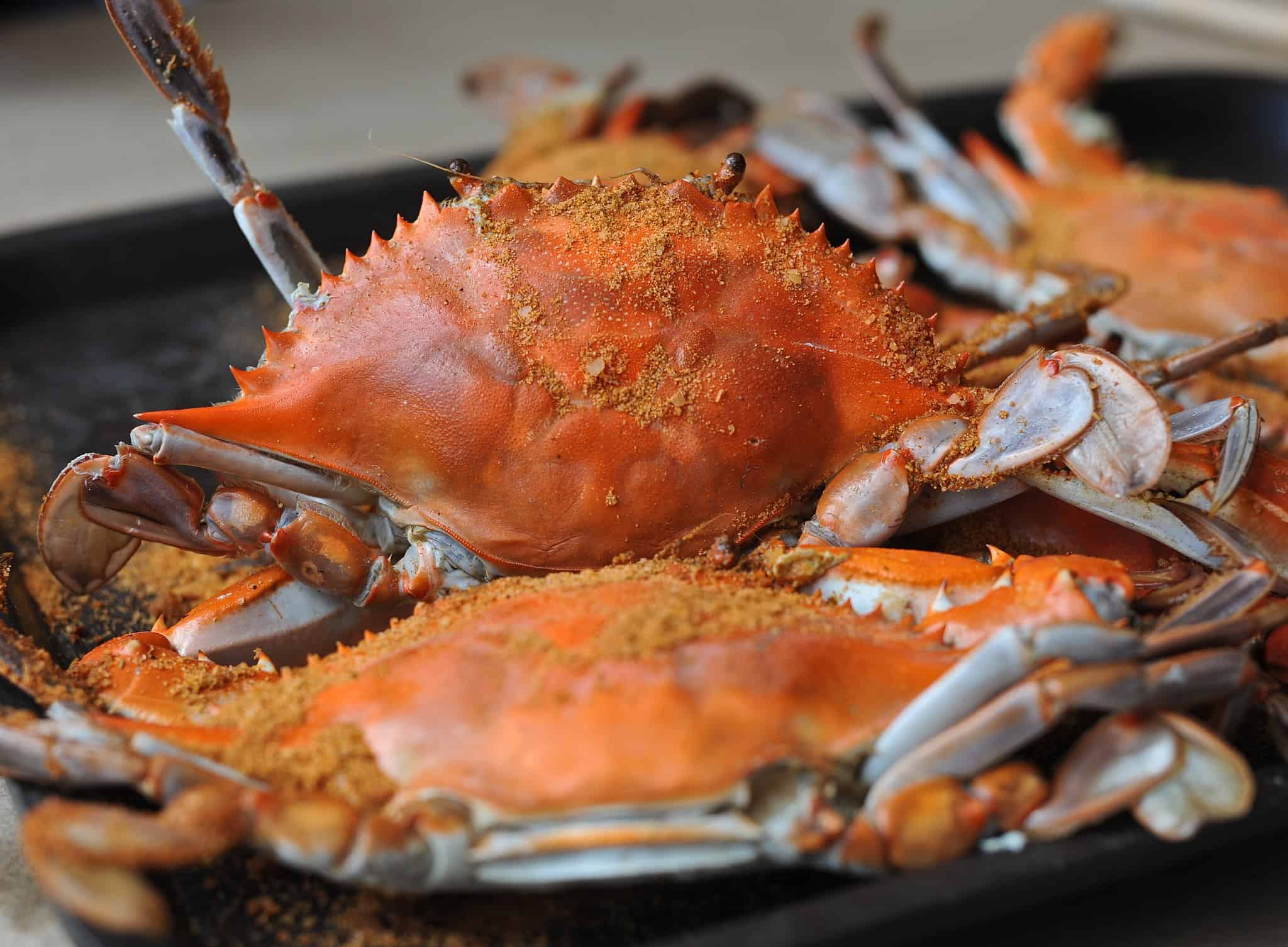 Steamed blue crab is a staple of Maryland and is always caught fresh.