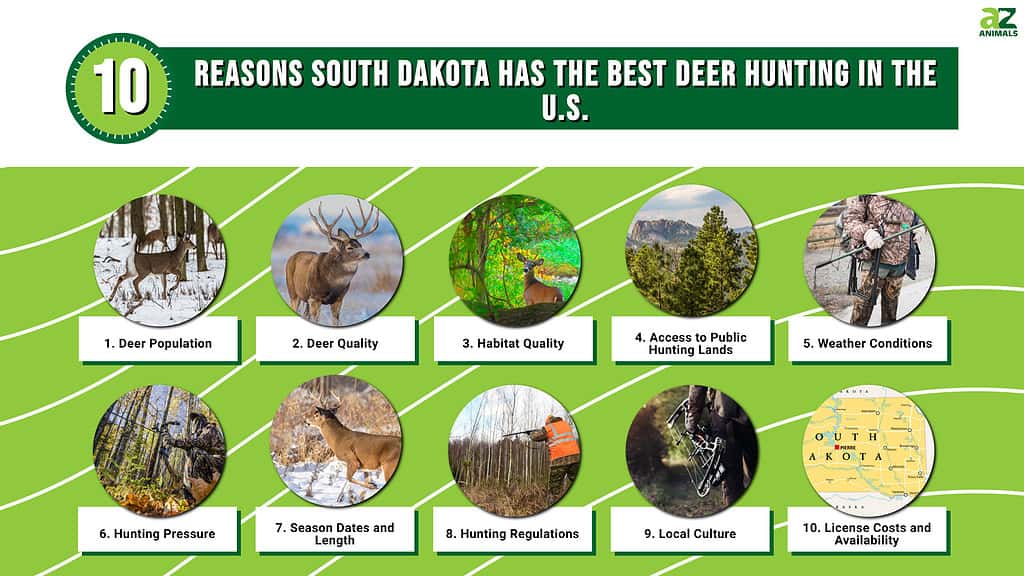 10 Reasons South Dakota Has the Best Deer Hunting in the U.S.