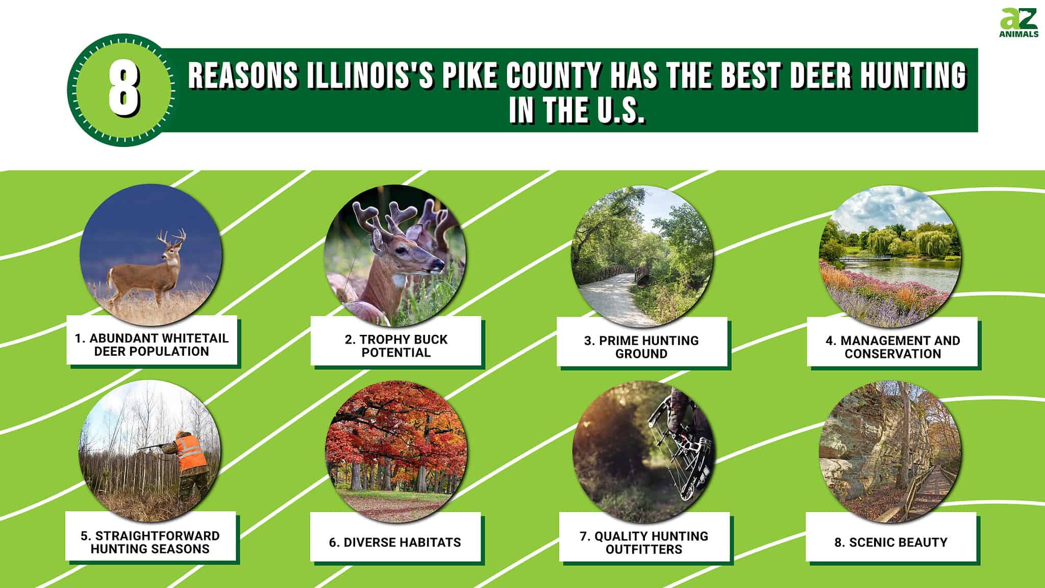 8 Reasons Illinois's Pike County Has The Best Deer Hunting In The U.S ...