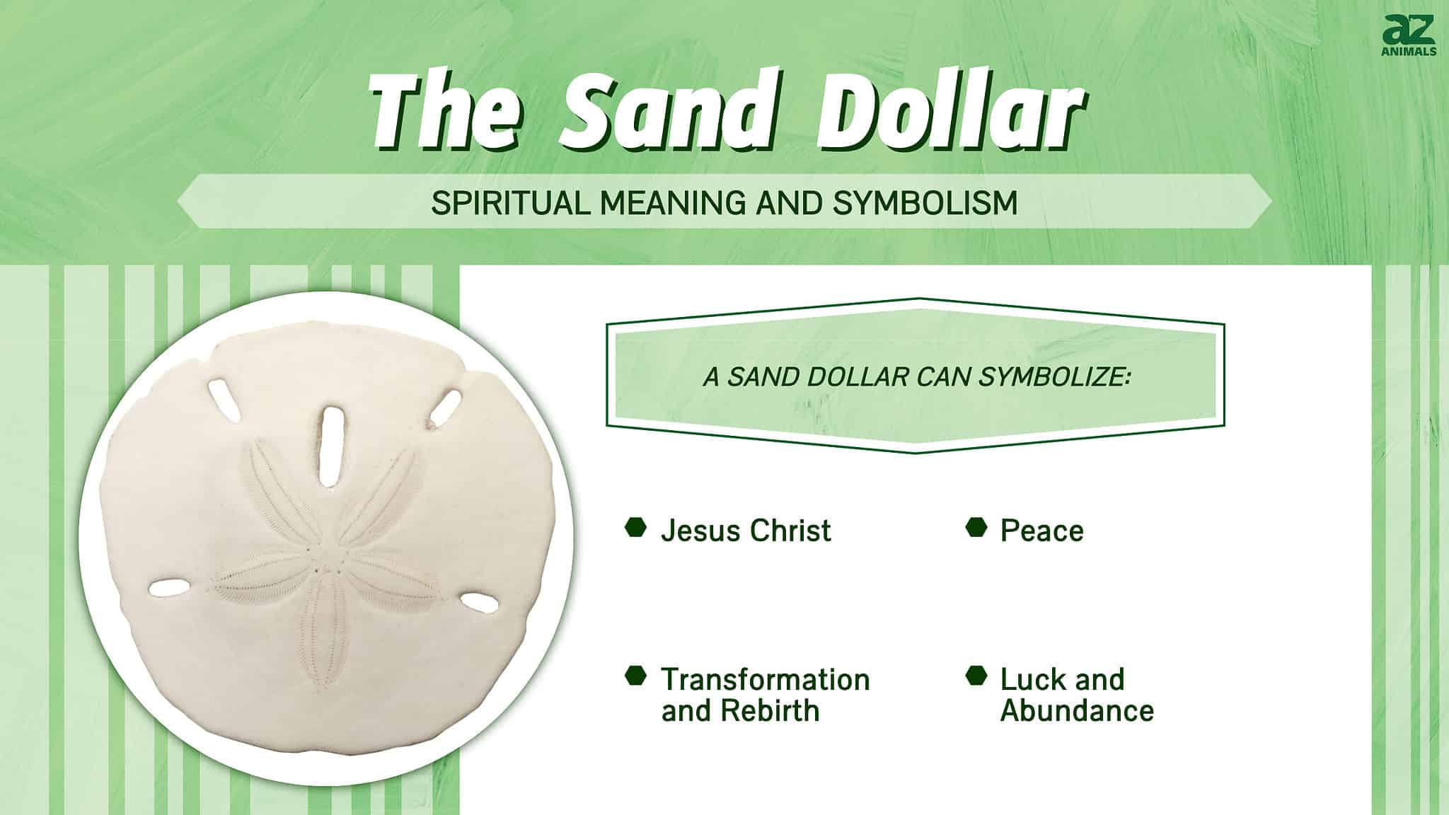 The Spiritual Meaning and Symbolism of the Sand Dollar - A-Z Animals