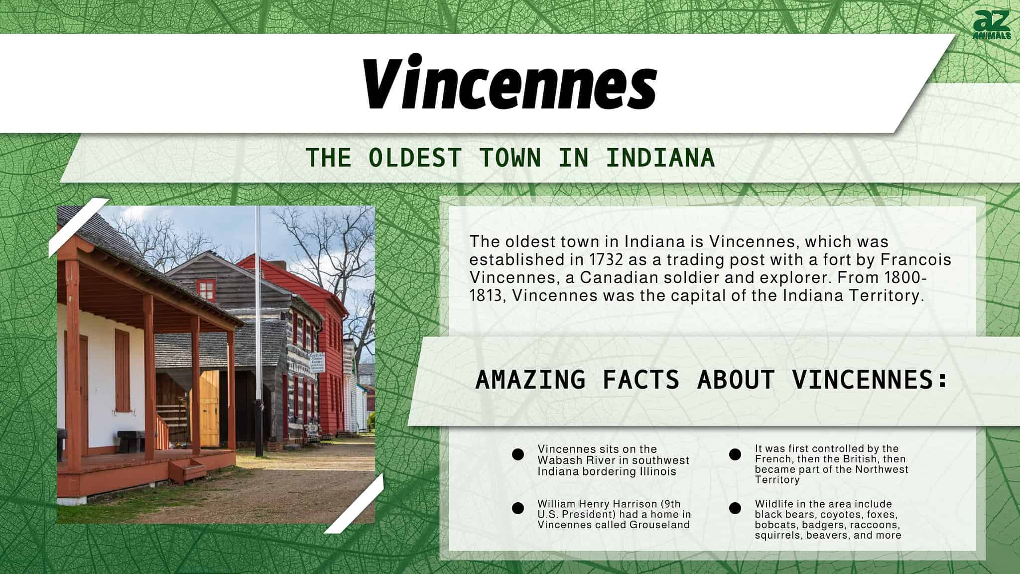 Discover the Oldest Town in Indiana AZ Animals