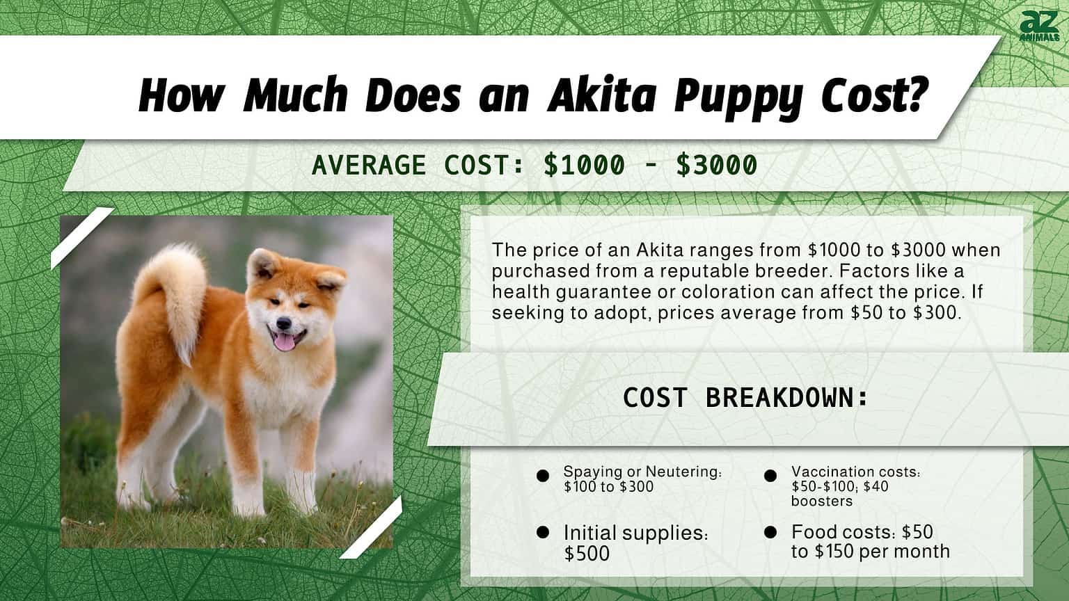 Akita Prices in 2024: Purchase Cost, Vet Bills, and More! - A-Z Animals