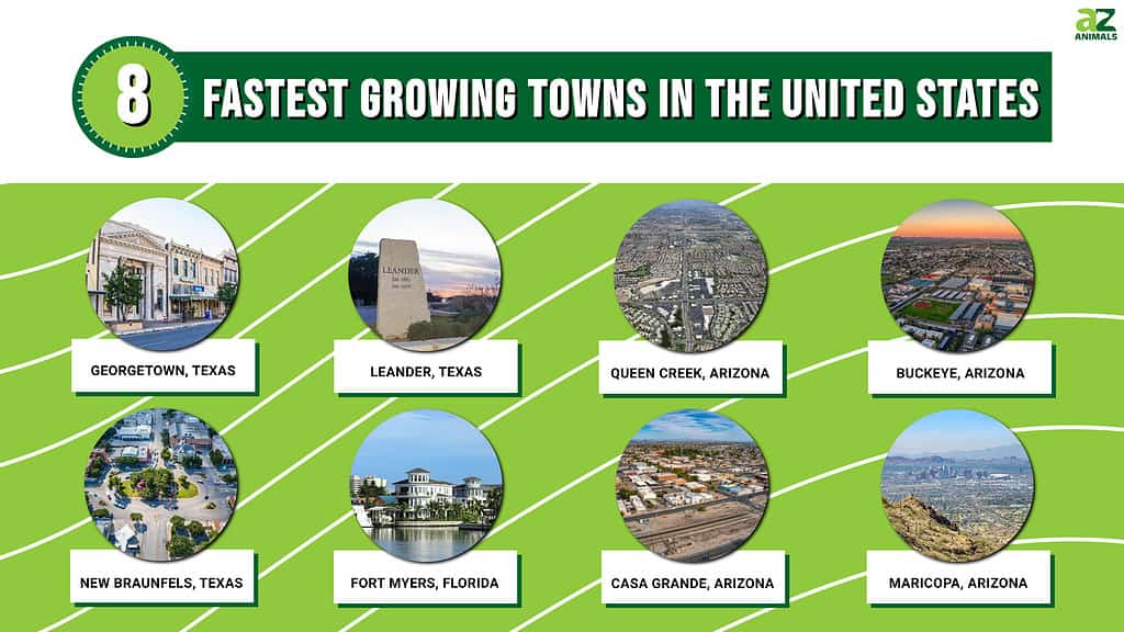 What It's Like to Live in Phoenix, Arizona, the Fastest-Growing US City