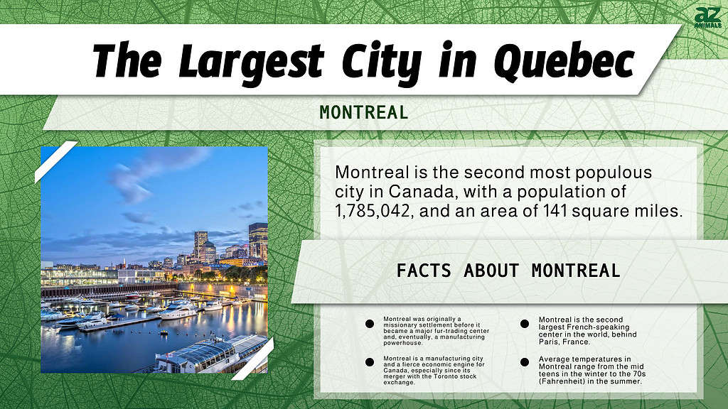 Montreal Statistics and Economics