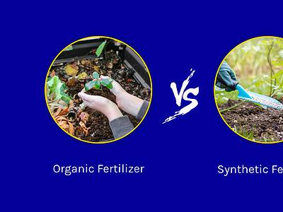 A Organic vs. Synthetic Fertilizer: Discover the Pros and Cons of Each