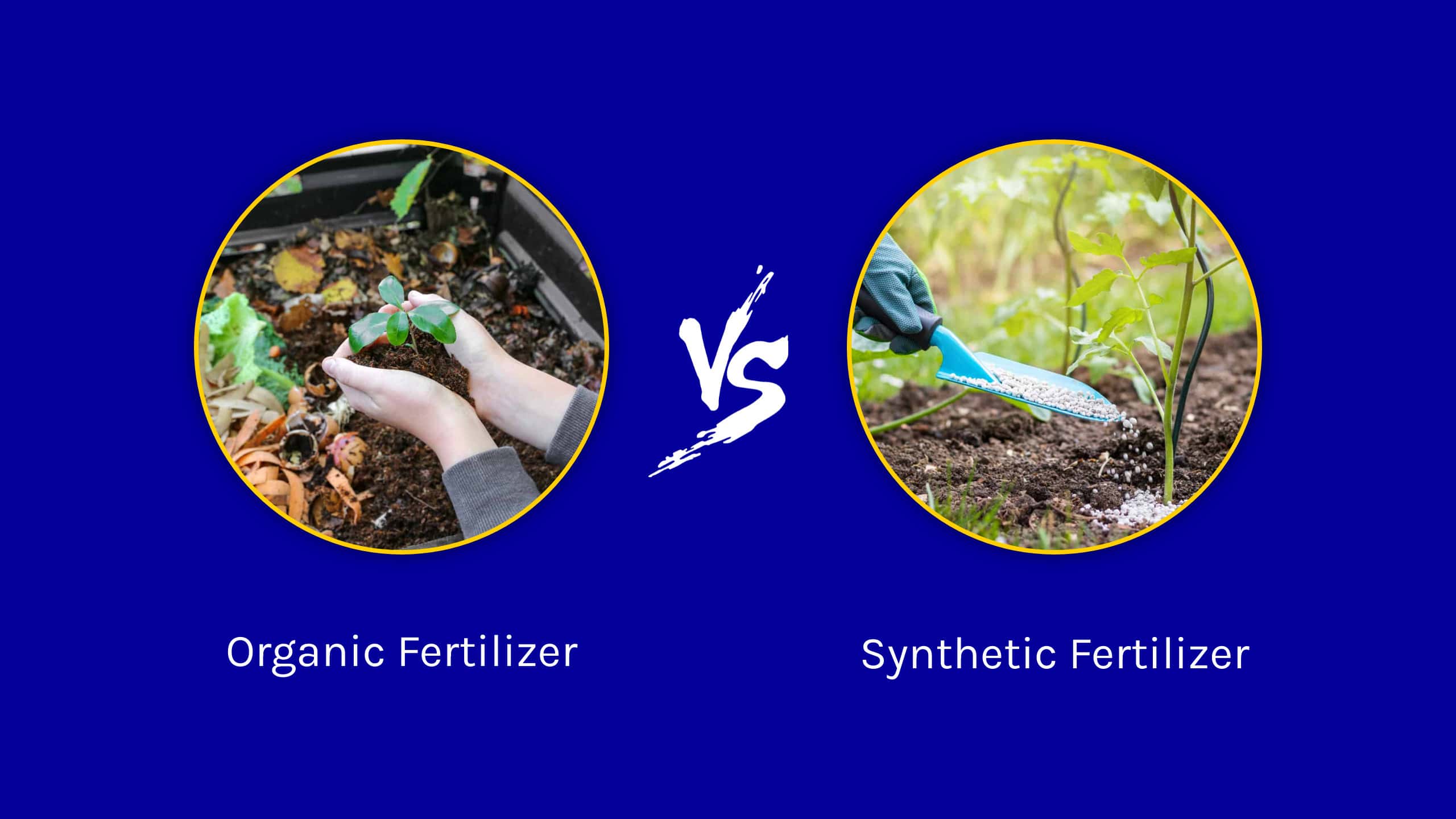 Organic vs. Synthetic Fertilizer