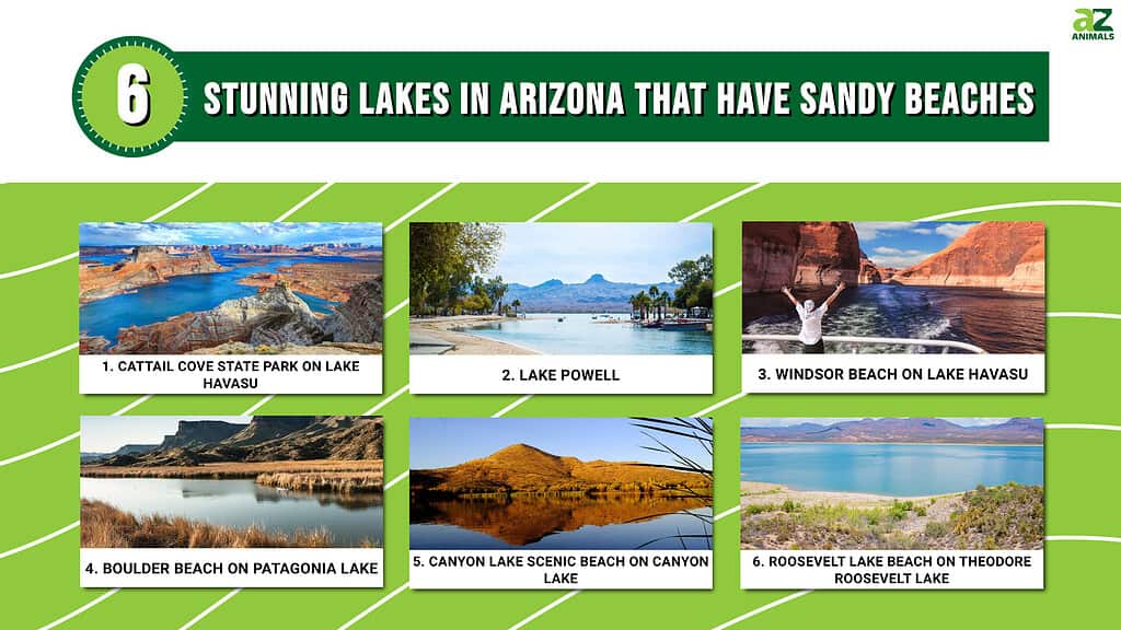 6 Stunning Lakes in Arizona That Has Sandy Beaches