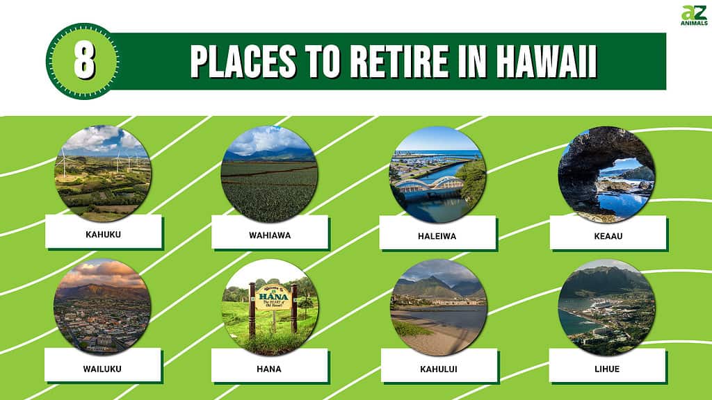 Eight places to retire