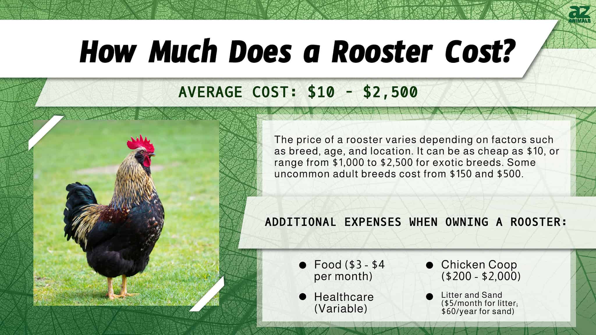 Price Of A Rooster