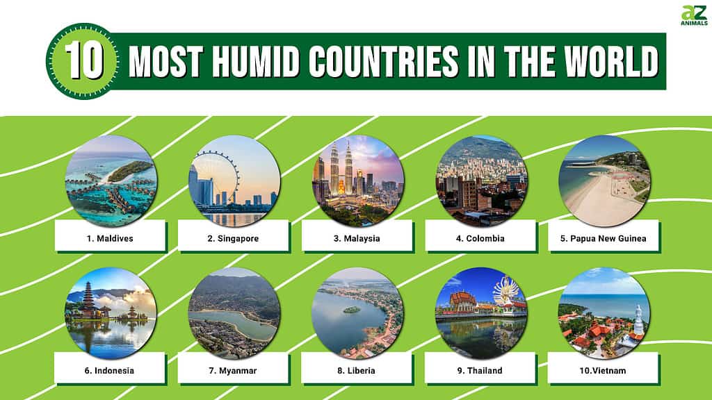 10 Most Humid  Countries in the World