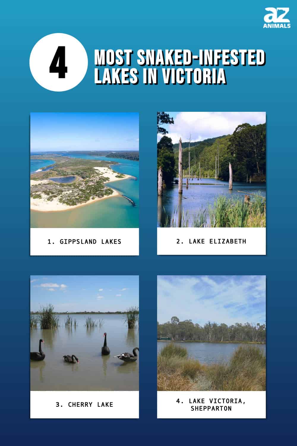 4 Most Snaked-Infested Lakes In Victoria - A-Z Animals