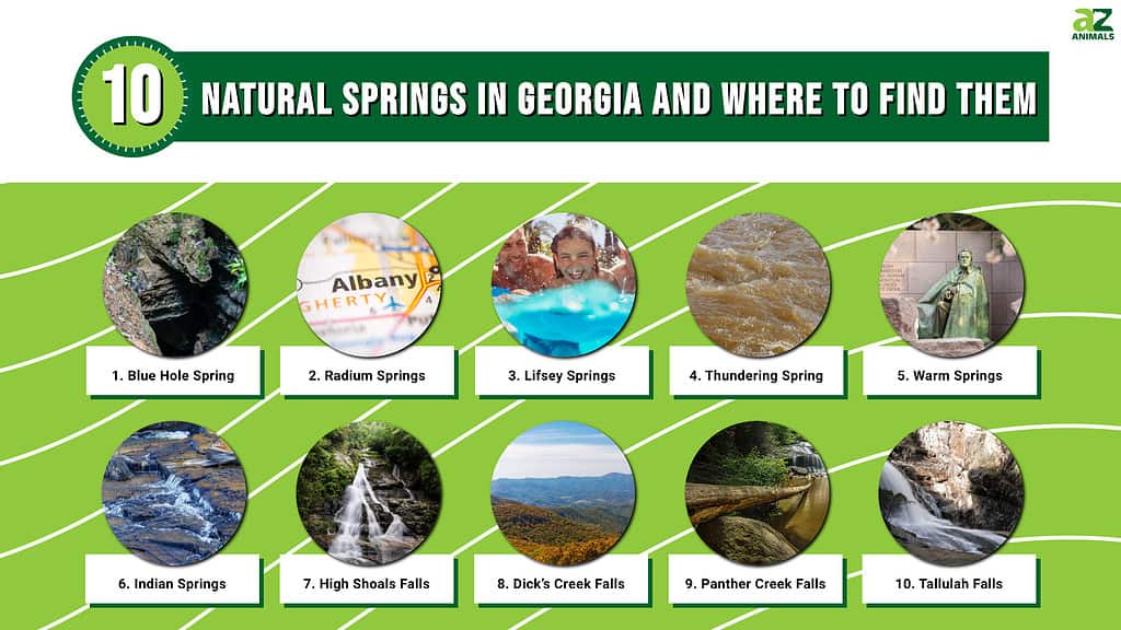 10 Natural Springs in Georgia