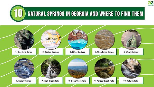 10 Natural Springs In Georgia And Where To Find Them - A-Z Animals