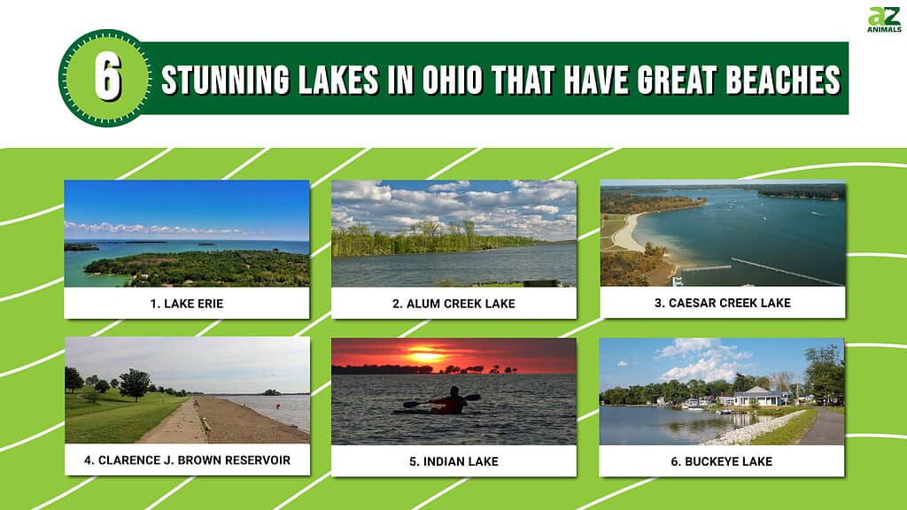 6 Stunning Lakes in Ohio That Have Great Beaches
