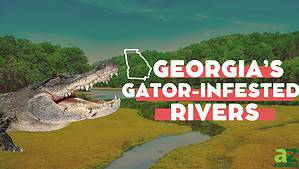 The Top 6 Most Alligator-Infested Rivers in Georgia Picture