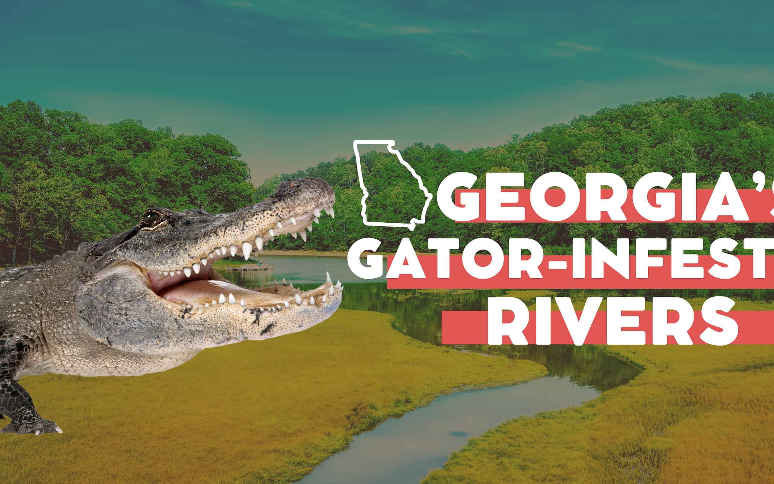 GA Gator Rivers