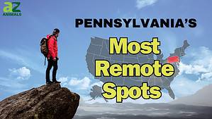 The 3 Most Remote Spots in Pennsylvania And How to Safely Get There Picture
