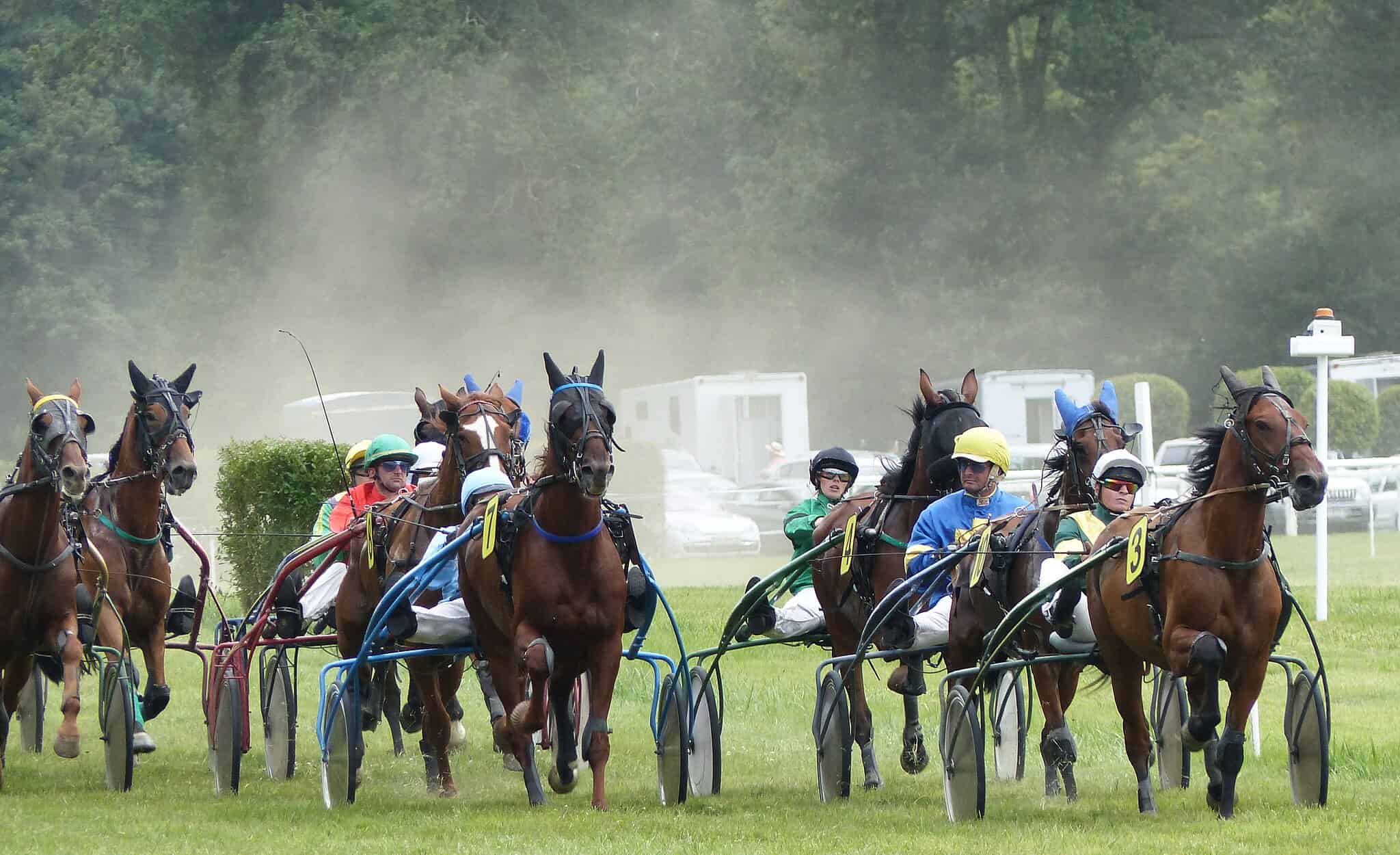 French Trotter horses harness racing