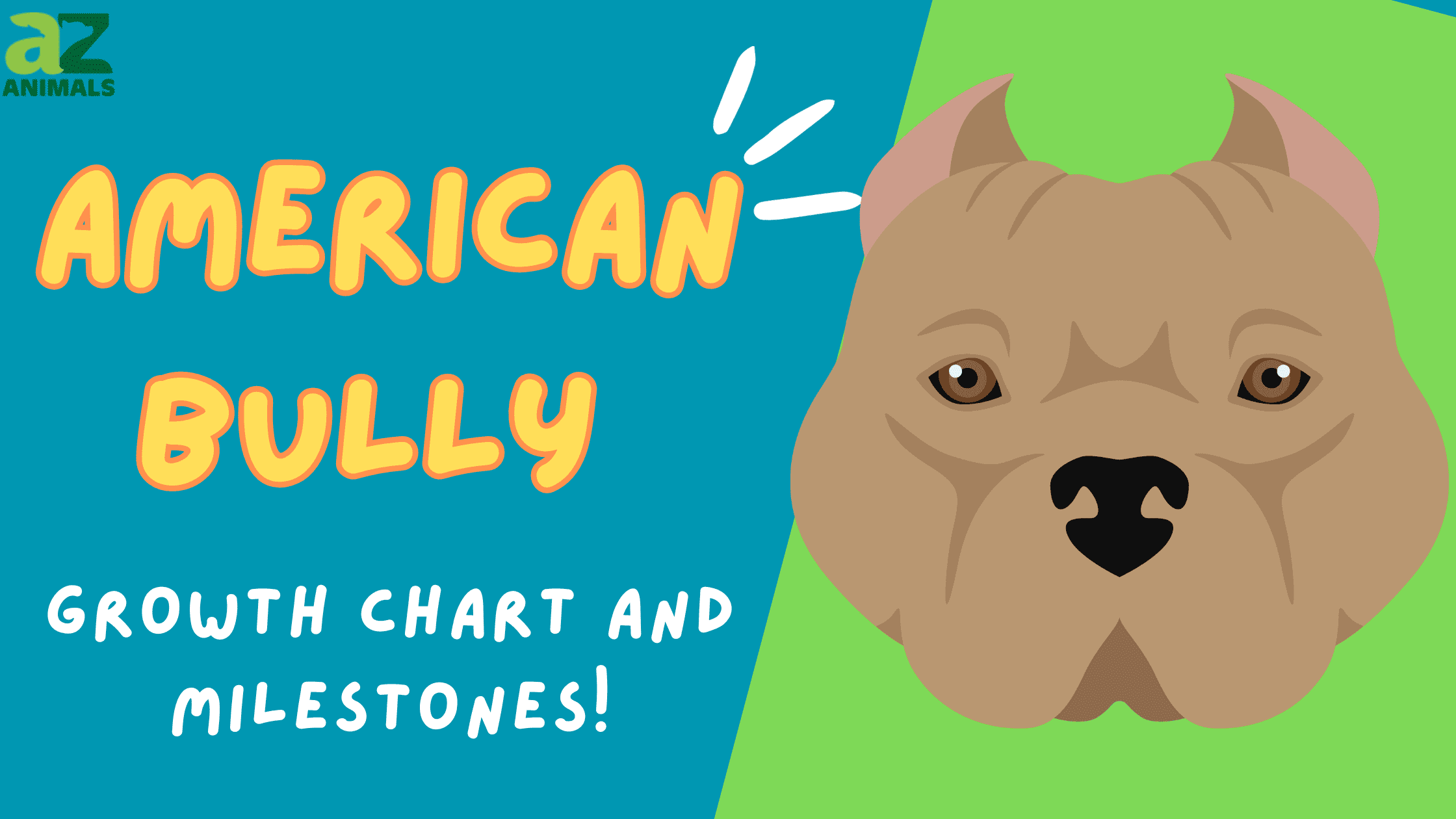 American Bully Growth Chart